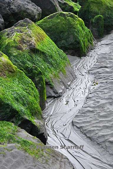 algae covered rocks 3779 3 graphic